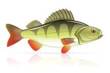 Seafood para sa pancreatitis